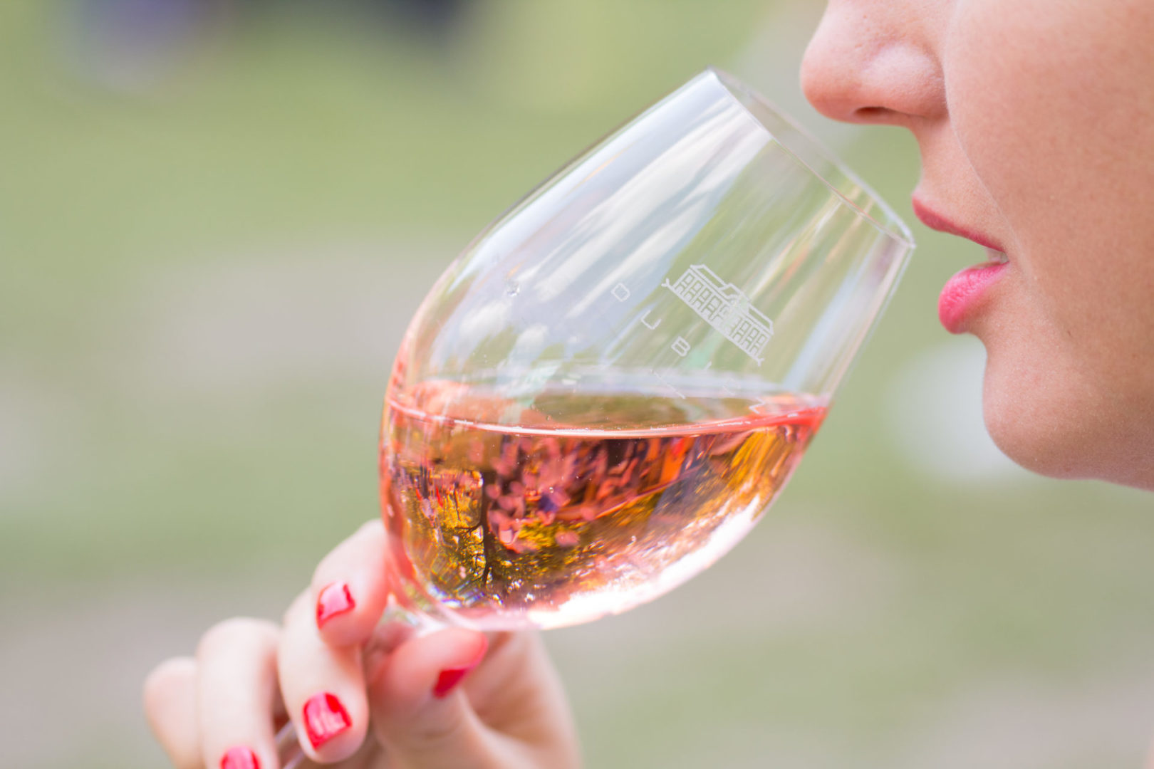 A borok ízlelése – Hogyan, és mit érzünk a borokban?