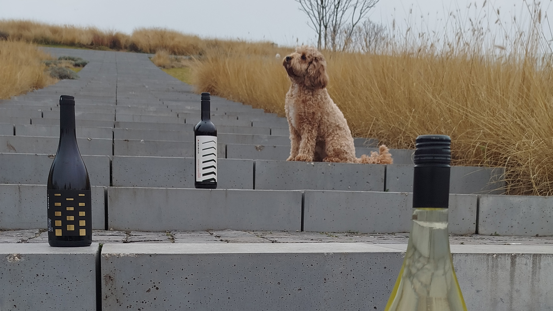 Téli ételpárosítások: borok kemencés fogásokhoz és vadételekhez