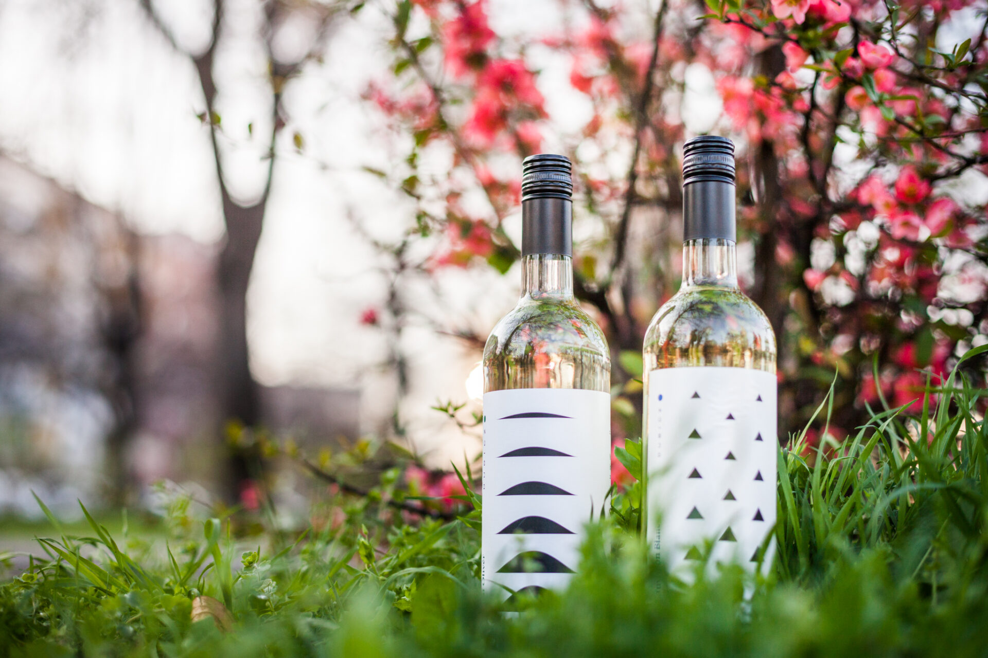 Bor és virág: tavaszi dekorációk kicsit másképp